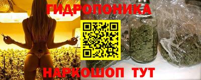spice Кимры